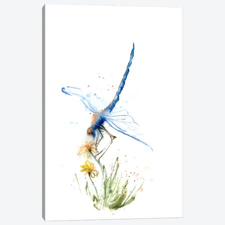Dragonfly Canvas Print #OTF2} by Olga Tchefranov Canvas Print