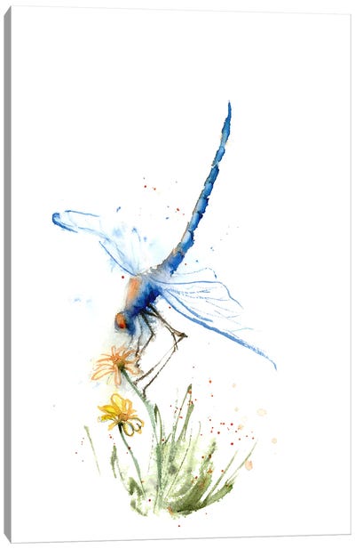 Dragonfly Canvas Art Print - Olga Tchefranov