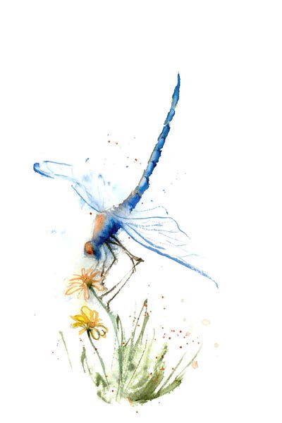 Dragonflies: Dragonfly by Olga Tchefranov