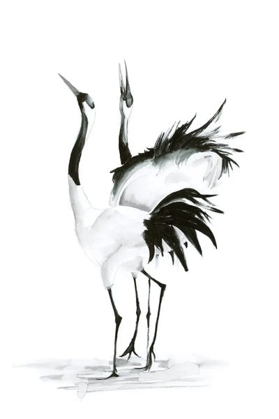 Black & White Animal Art: Cranes II by Olga Tchefranov