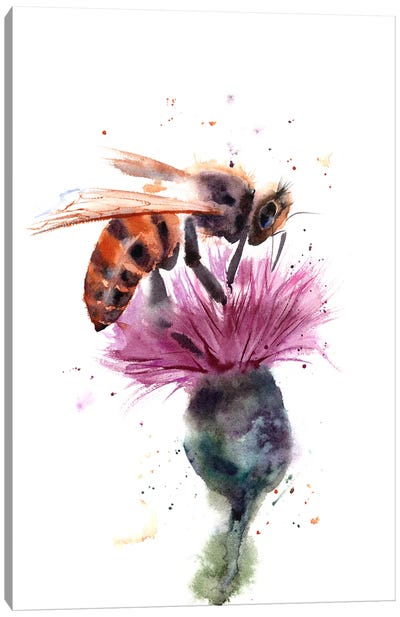 Bee Canvas Art Print - Olga Tchefranov