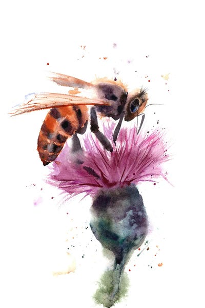 Bees: Bee by Olga Tchefranov