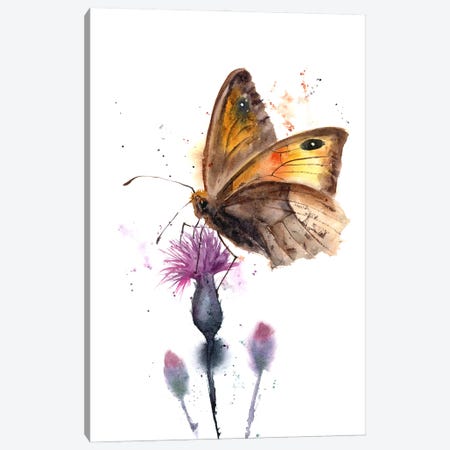 Butterfly Canvas Print #OTF33} by Olga Tchefranov Canvas Art Print