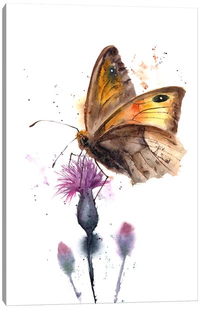Butterfly Canvas Art Print - Olga Tchefranov