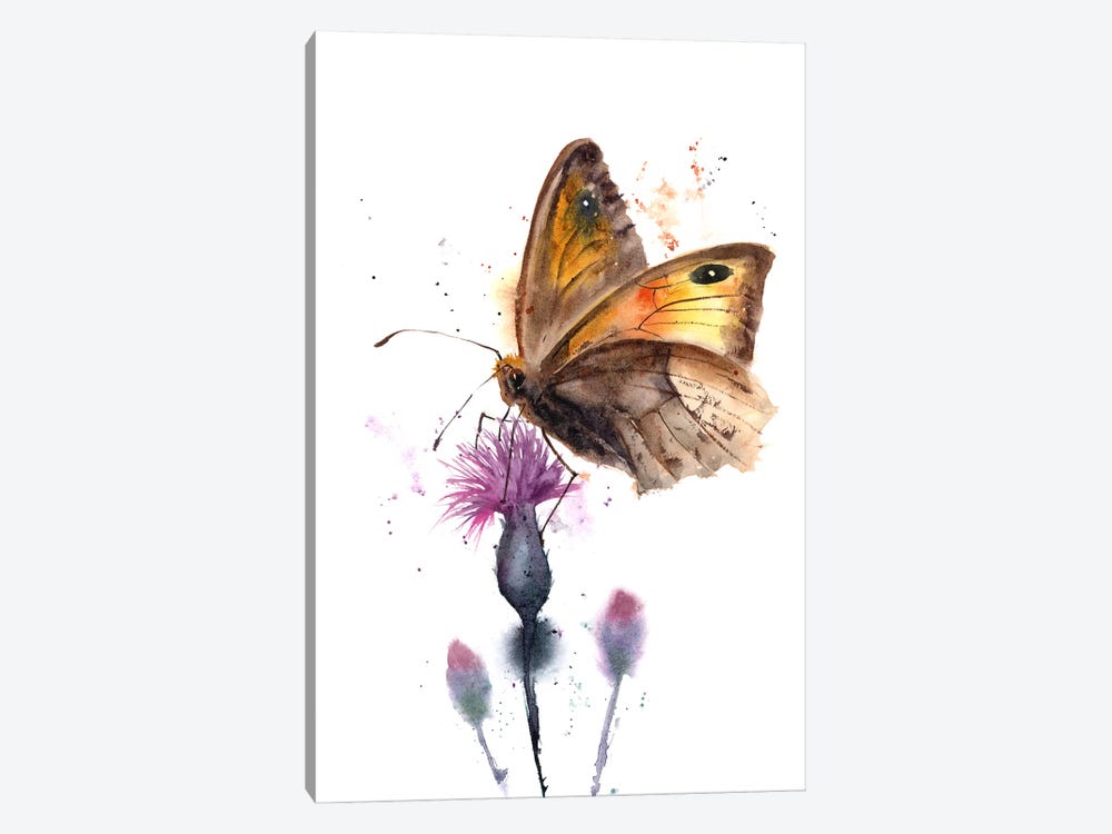 Butterfly by Olga Tchefranov 1-piece Canvas Artwork
