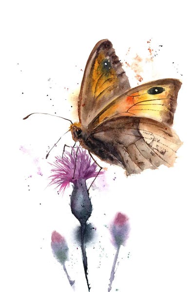 Butterflies and Flowers: Butterfly by Olga Tchefranov