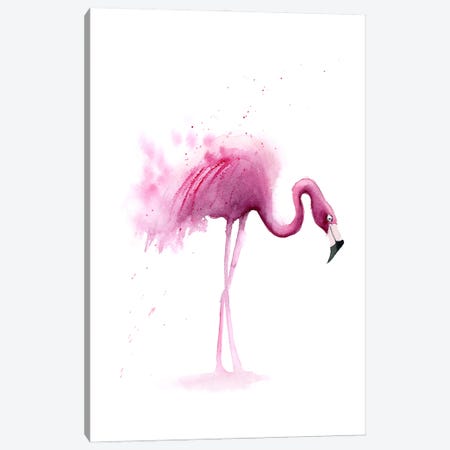 4 Flamingos I Canvas Print #OTF36} by Olga Tchefranov Canvas Art