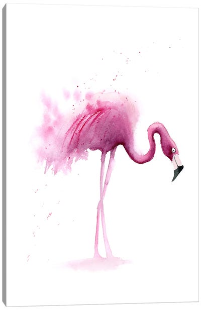 4 Flamingos I Canvas Art Print - Olga Tchefranov