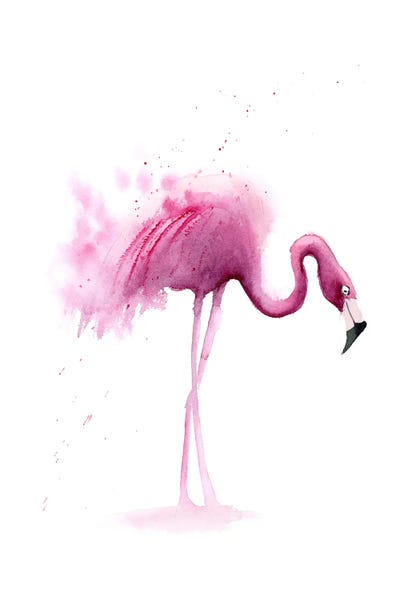 Flamingos: 4 Flamingos I by Olga Tchefranov