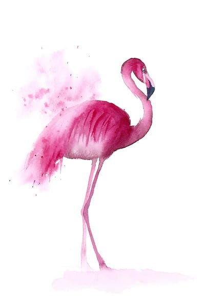 4 Flamingos III by Olga Tchefranov framed wall art