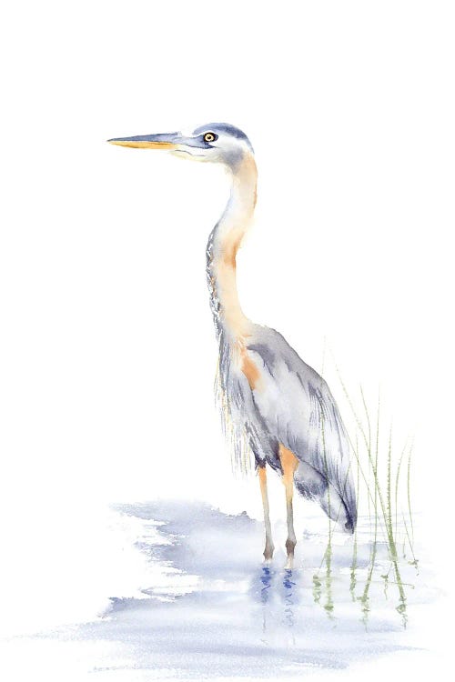 Heron