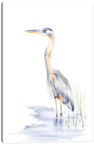 Heron Canvas Art Print - Heron Art