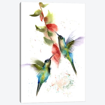 Hummingbirds Canvas Print #OTF41} by Olga Tchefranov Canvas Artwork