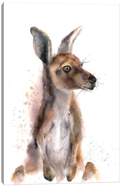 Kangaroo Canvas Art Print - Olga Tchefranov