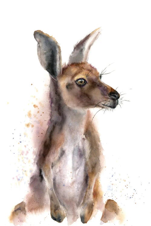 Kangaroo