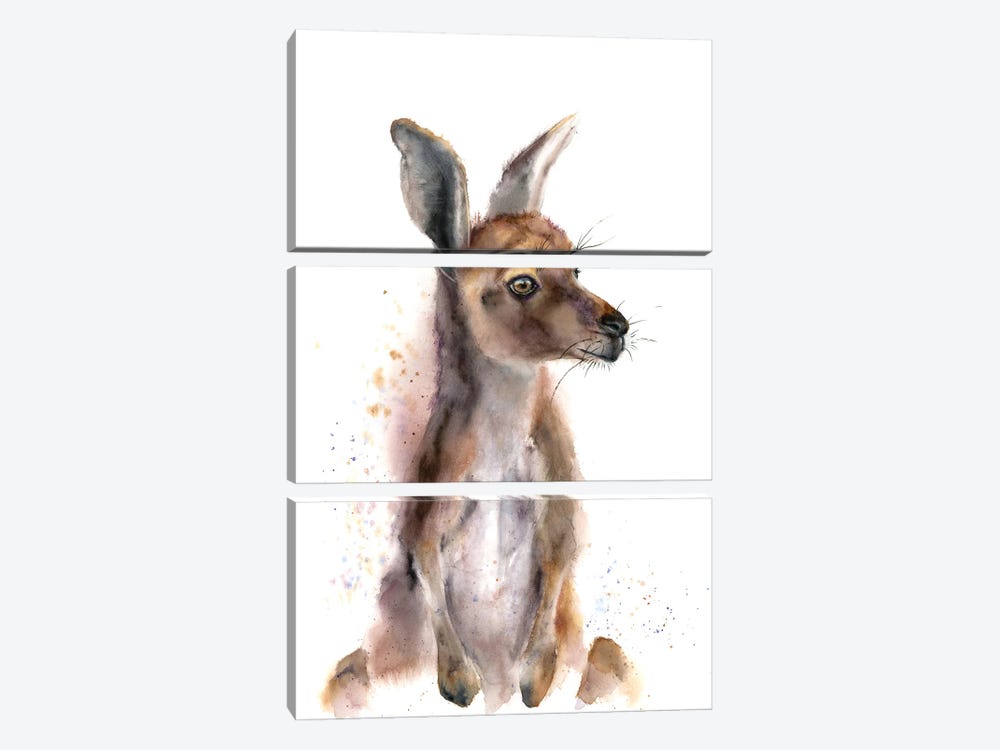 Kangaroo by Olga Tchefranov 3-piece Canvas Wall Art