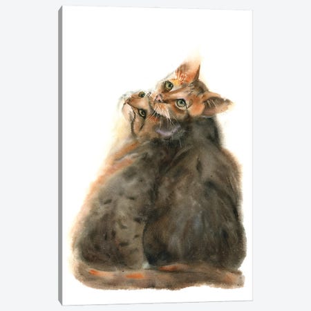Calico Cats II Canvas Print #OTF44} by Olga Tchefranov Canvas Print