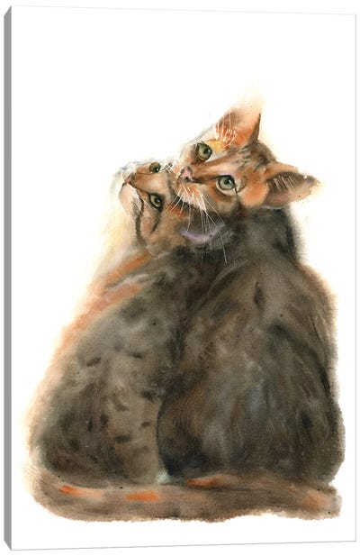 Calico Cats II Canvas Art Print - Calico Cat Art