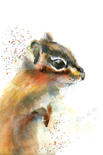 Chipmunks: Chipmunk by Olga Tchefranov