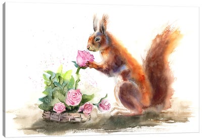 Squirrel Canvas Art Print - Olga Tchefranov