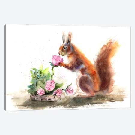 Squirrel Canvas Print #OTF47} by Olga Tchefranov Canvas Print