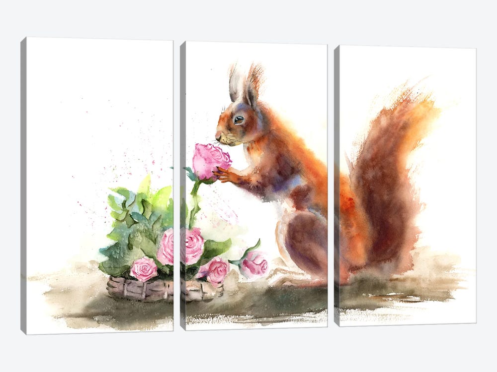 Squirrel by Olga Tchefranov 3-piece Canvas Print