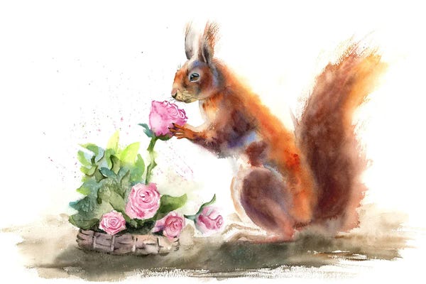 Fine Art Print: Squirrel by Olga Tchefranov