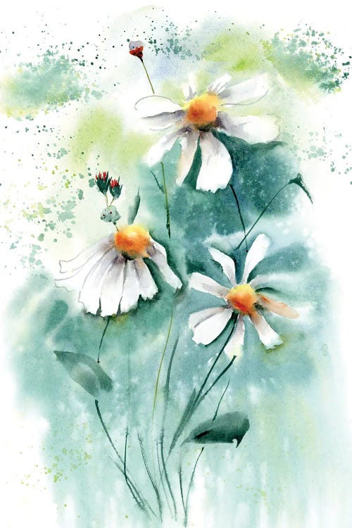 Daisies I