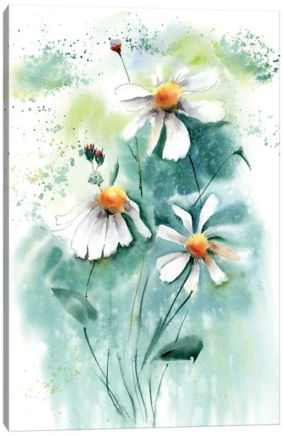 Daisies I Canvas Art Print - Daisy Art