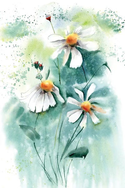 Daisies: Daisies I by Olga Tchefranov