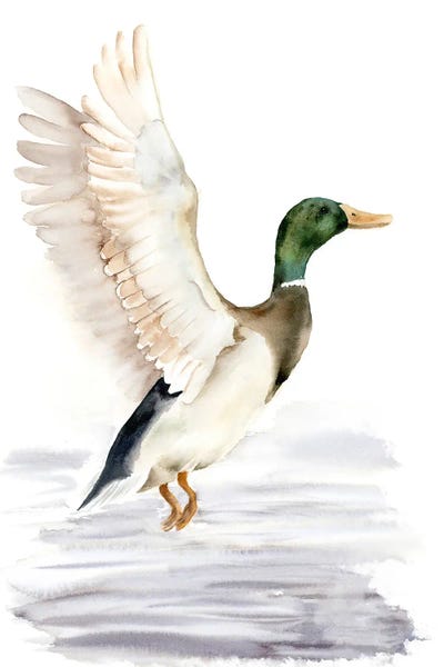 Lakehouse Décor: Duck by Olga Tchefranov