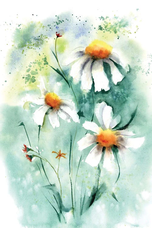 Daisies II