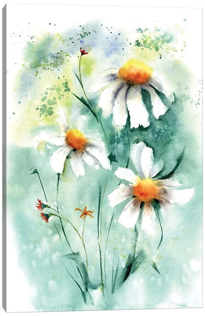 Daisies II Canvas Art Print - Daisy Art