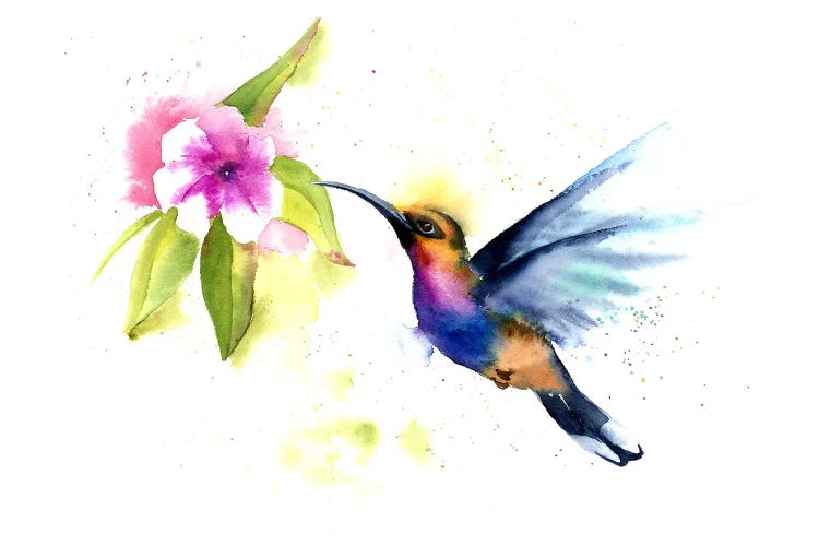 Hummingbird III