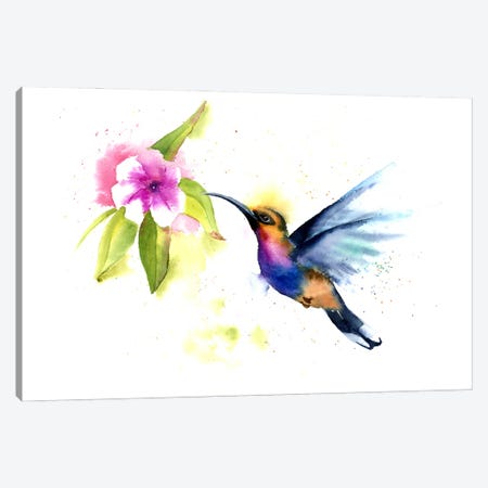 Hummingbird III Canvas Print #OTF52} by Olga Tchefranov Canvas Art Print