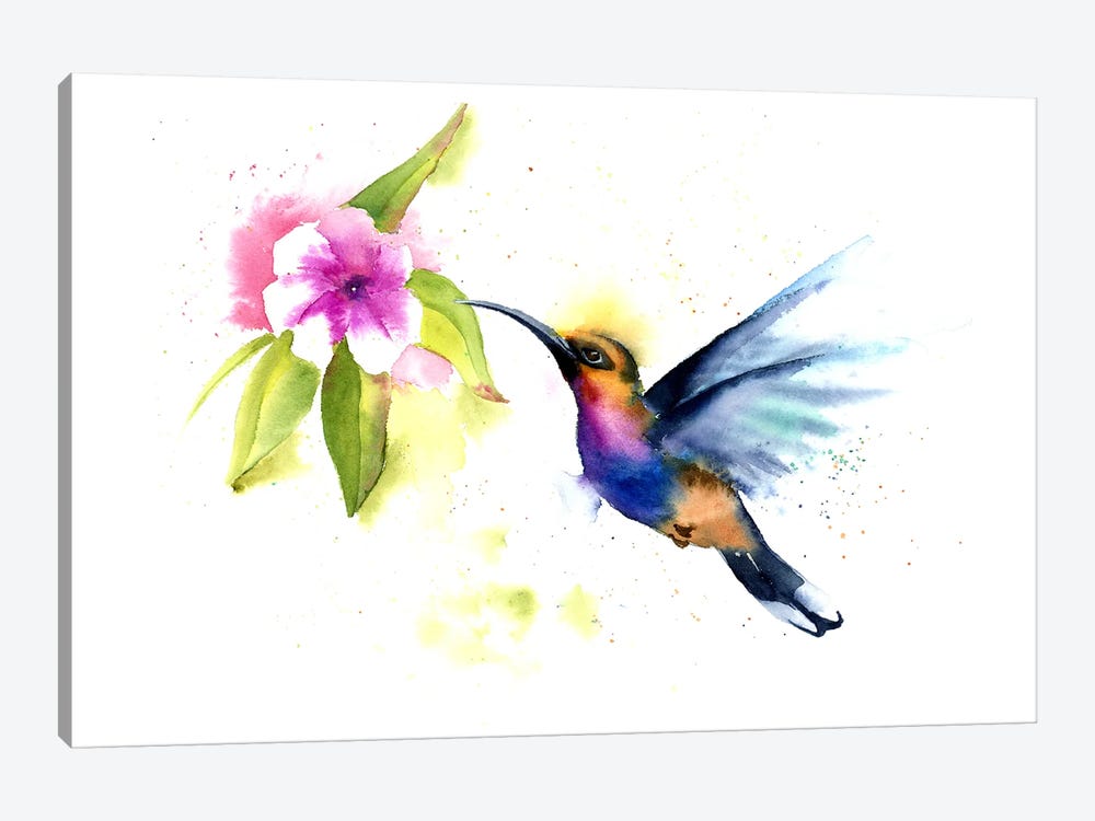 Hummingbird III by Olga Tchefranov 1-piece Canvas Art Print
