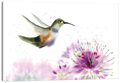 Hummingbird IV Canvas Art Print - Olga Tchefranov
