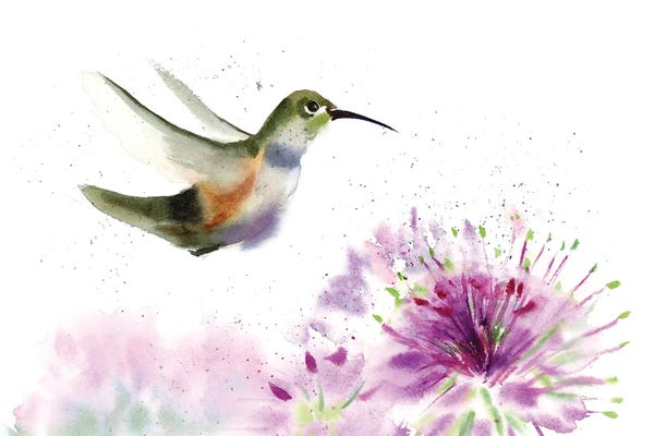 Alliums: Hummingbird IV by Olga Tchefranov