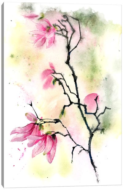 Magnolias II Canvas Art Print - Olga Tchefranov
