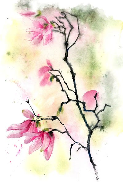 Magnolias: Magnolias II by Olga Tchefranov