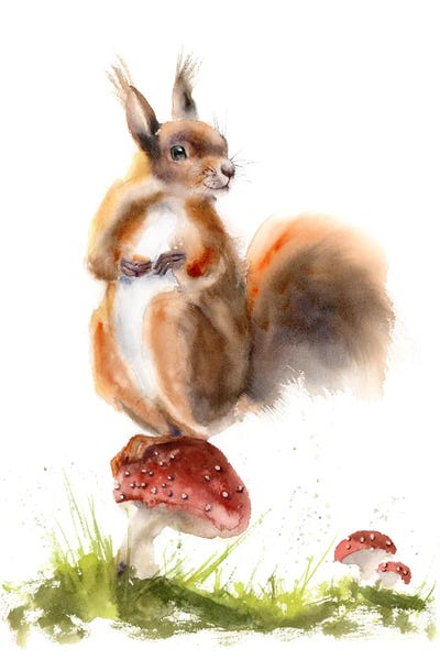 Squirrels: Squirrels I by Olga Tchefranov