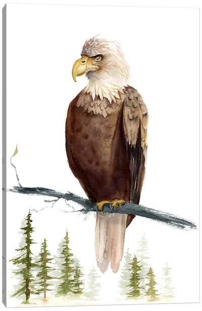 Eagle Canvas Art Print - Olga Tchefranov