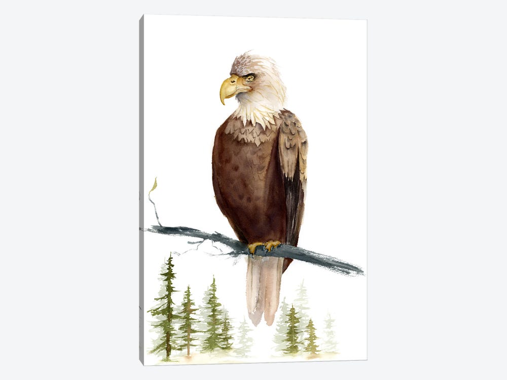 Eagle by Olga Tchefranov 1-piece Canvas Print