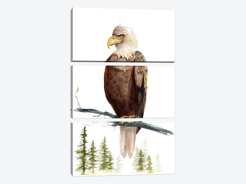 Eagle by Olga Tchefranov 3-piece Canvas Print