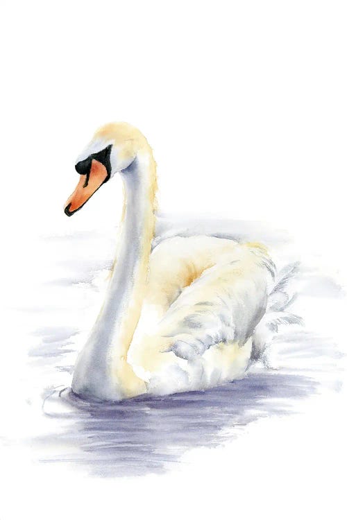 Swan