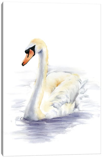 Swan Canvas Art Print - Olga Tchefranov