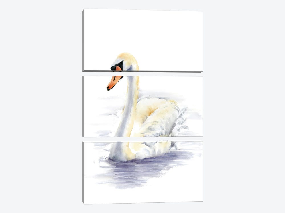 Swan by Olga Tchefranov 3-piece Art Print