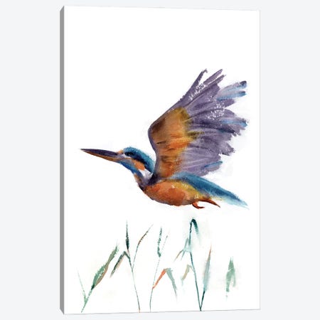 Flying Kingfisher Canvas Print #OTF63} by Olga Tchefranov Canvas Artwork
