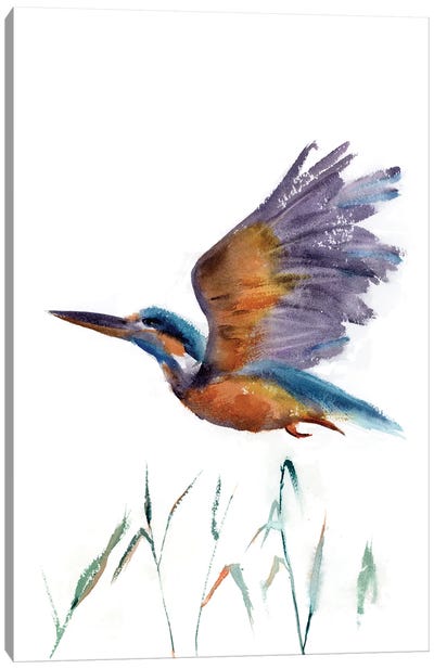 Flying Kingfisher Canvas Art Print - Olga Tchefranov
