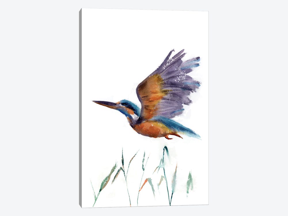 Flying Kingfisher by Olga Tchefranov 1-piece Art Print